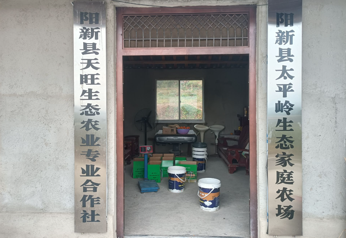 种植橘子的利润_种植桔子致富_种植橘子