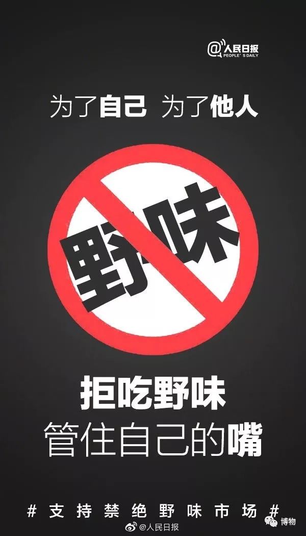 华农兄弟家的竹鼠，究竟算不算野味？