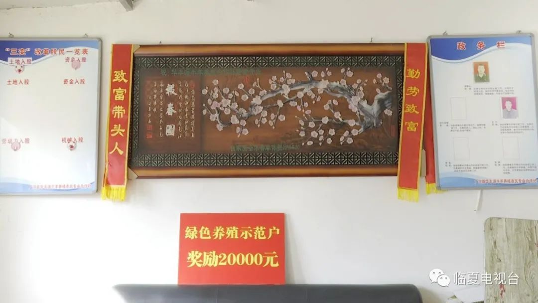 致富养殖农业养羊项目有哪些_农业养殖致富项目养羊_致富经创业项目农村养殖羊