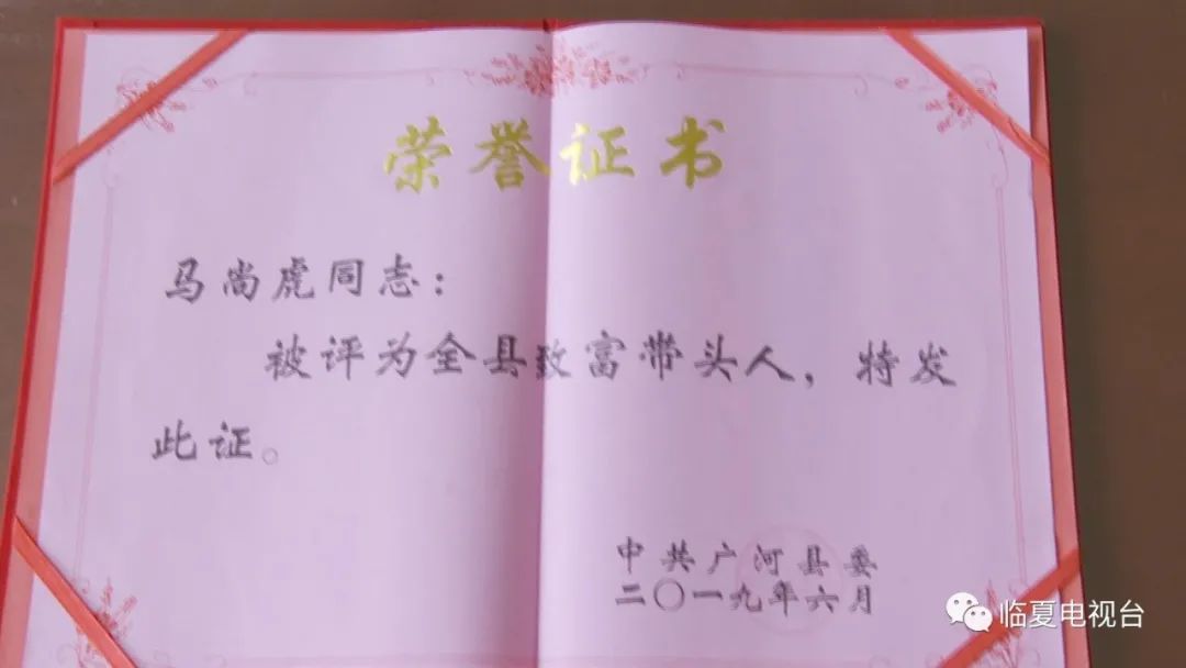 致富经创业项目农村养殖羊_农业养殖致富项目养羊_致富养殖农业养羊项目有哪些