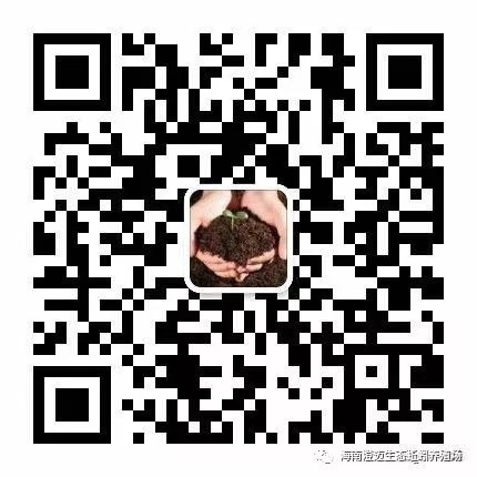 广西南宁养殖蚯蚓场址_南宁 蚯蚓养殖技术_南宁养殖蚯蚓技术培训机构