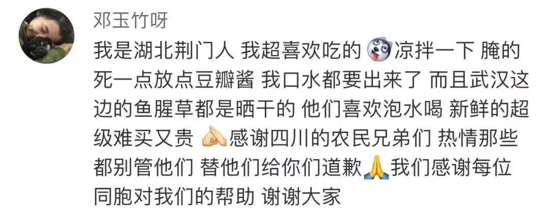 致富经种植鱼腥草视频_视频致富种植鱼腥草真的假的_鱼腥草种植视频播放