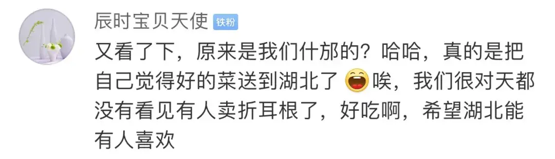 鱼腥草种植视频播放_致富经种植鱼腥草视频_视频致富种植鱼腥草真的假的