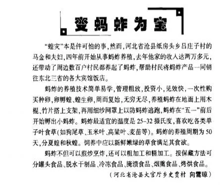 人工养殖蝗虫技术_养殖人工蝗虫技术视频_养殖人工蝗虫技术要求