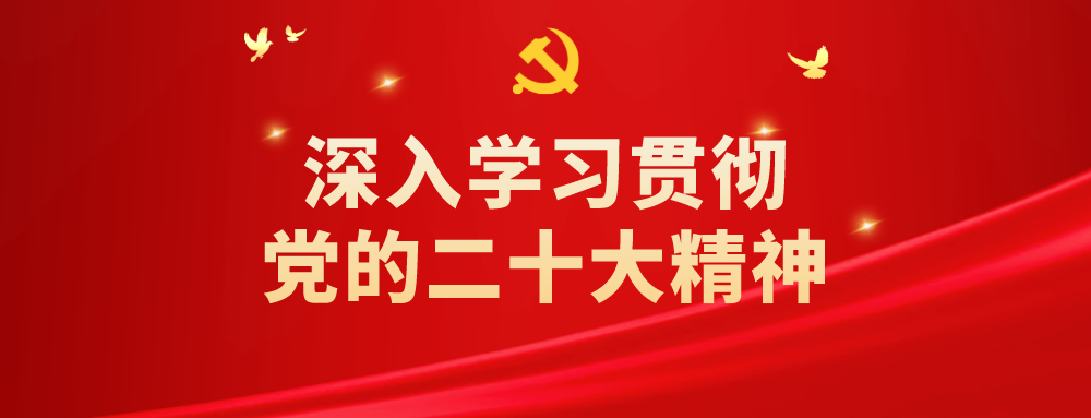 乡村振兴｜流转土地种南姜，转入乡村振兴致富路