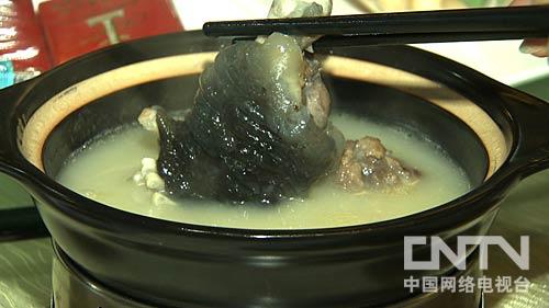 致富经养殖乌龟_乌龟致富养殖方法_乌龟养殖户