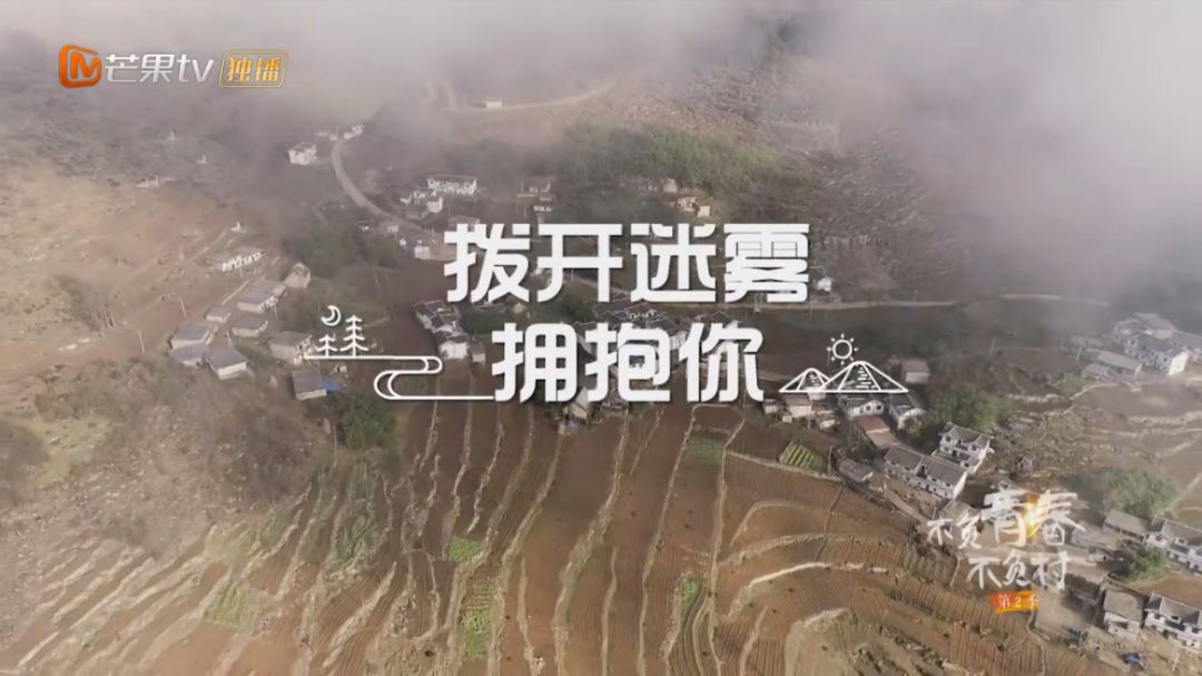 云南养鸵鸟有国家补助吗_云南鸵鸟养殖致富_云南鸵鸟养殖基地