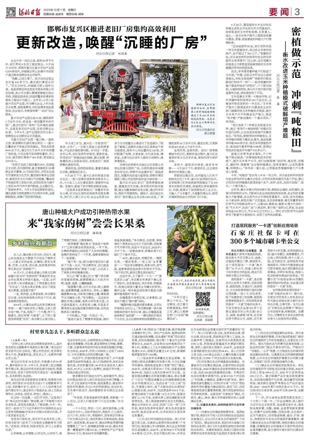 香蕉致富大户种植方法_香蕉种植收益_致富经种香蕉大户