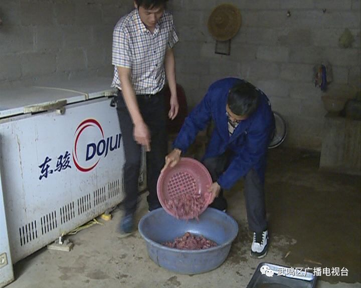 广西水律蛇养殖技术_2020广西养殖蛇现在政策_2020广西养殖蛇户的心声