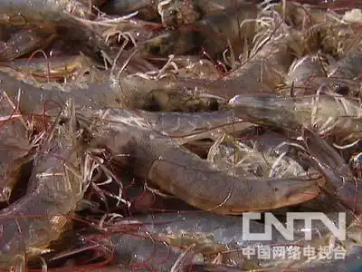 致富经 两次危机带来的财富
