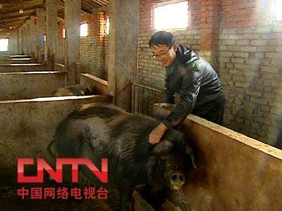 致富经高峰在哪里_致富致富_致富经高峰牛