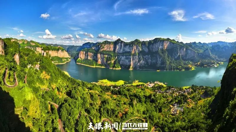 乌天麻亩产量_乌天麻种植致富_乌天麻种子多少钱一斤