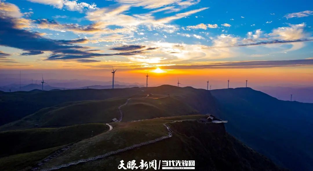 乌天麻亩产量_乌天麻种子多少钱一斤_乌天麻种植致富