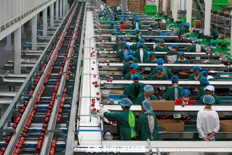 乌天麻种子多少钱一斤_乌天麻亩产量_乌天麻种植致富