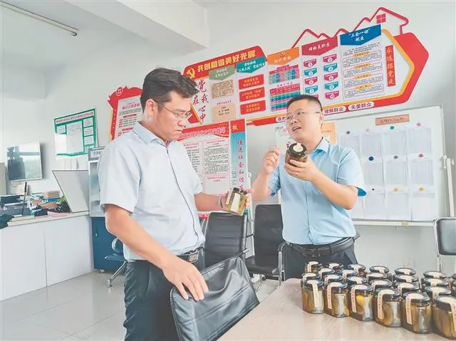 致富经豆青虫养殖_豆青虫养殖技术视频_豆青虫养殖致富