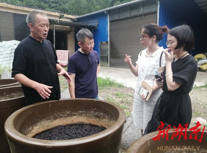 铁观音茶叶回收_致富经铁观音废料_纯手工铁观音价钱