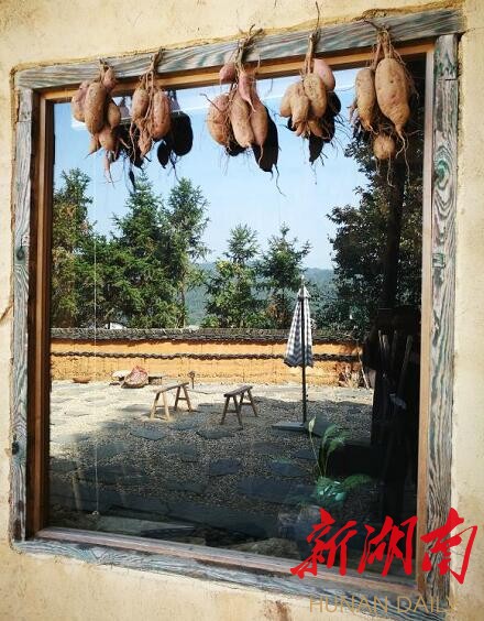 纯手工铁观音价钱_铁观音茶叶回收_致富经铁观音废料