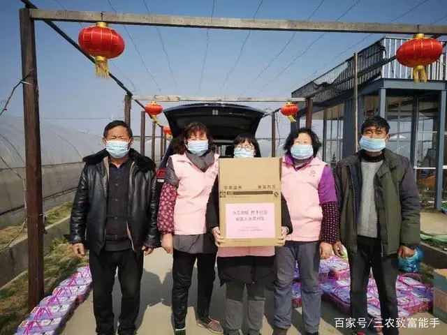 苏州姑娘返乡扎根农村，靠草莓一年卖70万元，带领农民脱贫致富！