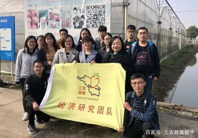 致富金种植草莓_草莓致富经_致富经草莓种植视频