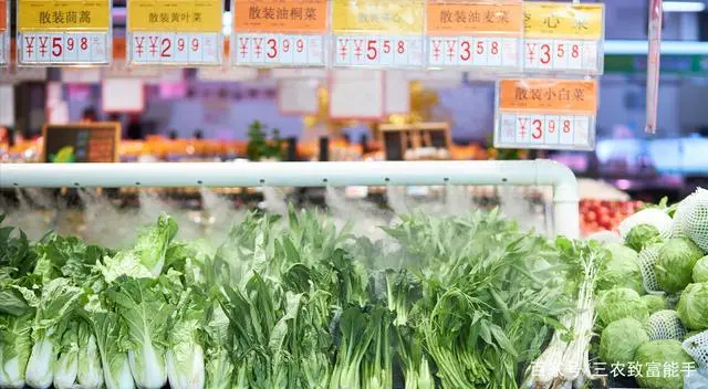 致富金种植草莓_致富经草莓种植视频_草莓致富经