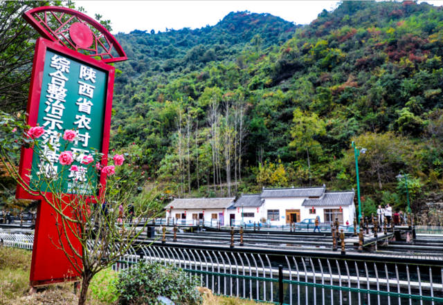 农广天地杨梅种植技术_农广天地杨梅种植技术和管理_农广天地杨梅种植视频