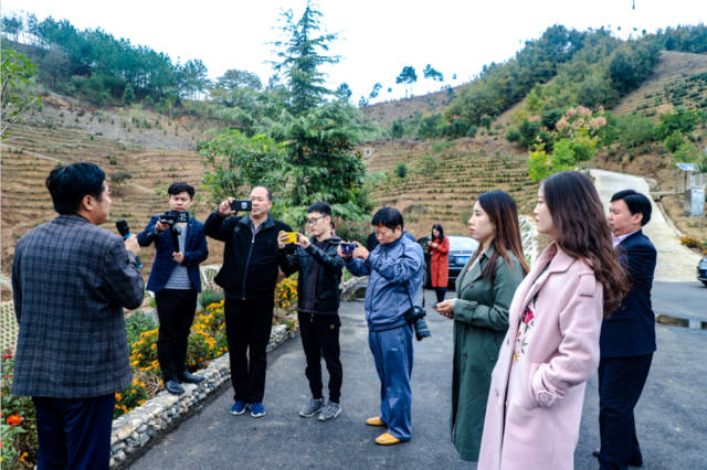 农广天地杨梅种植技术和管理_农广天地杨梅种植视频_农广天地杨梅种植技术