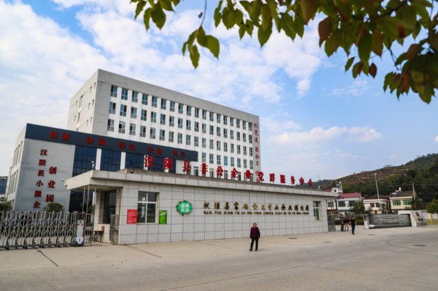 农广天地杨梅种植技术_农广天地杨梅种植视频_农广天地杨梅种植技术和管理