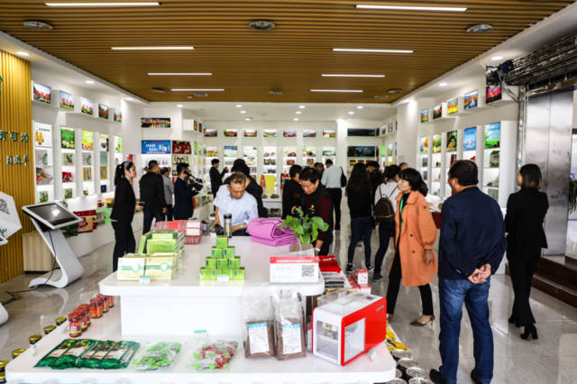 农广天地杨梅种植视频_农广天地杨梅种植技术_农广天地杨梅种植技术和管理