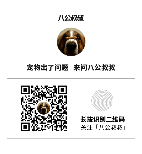 致富饲养小型狗怎么样_致富经饲养小型狗_致富饲养小型狗视频