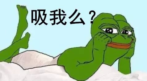 致富经饲养小型狗_致富饲养小型狗视频_致富饲养小型狗怎么样