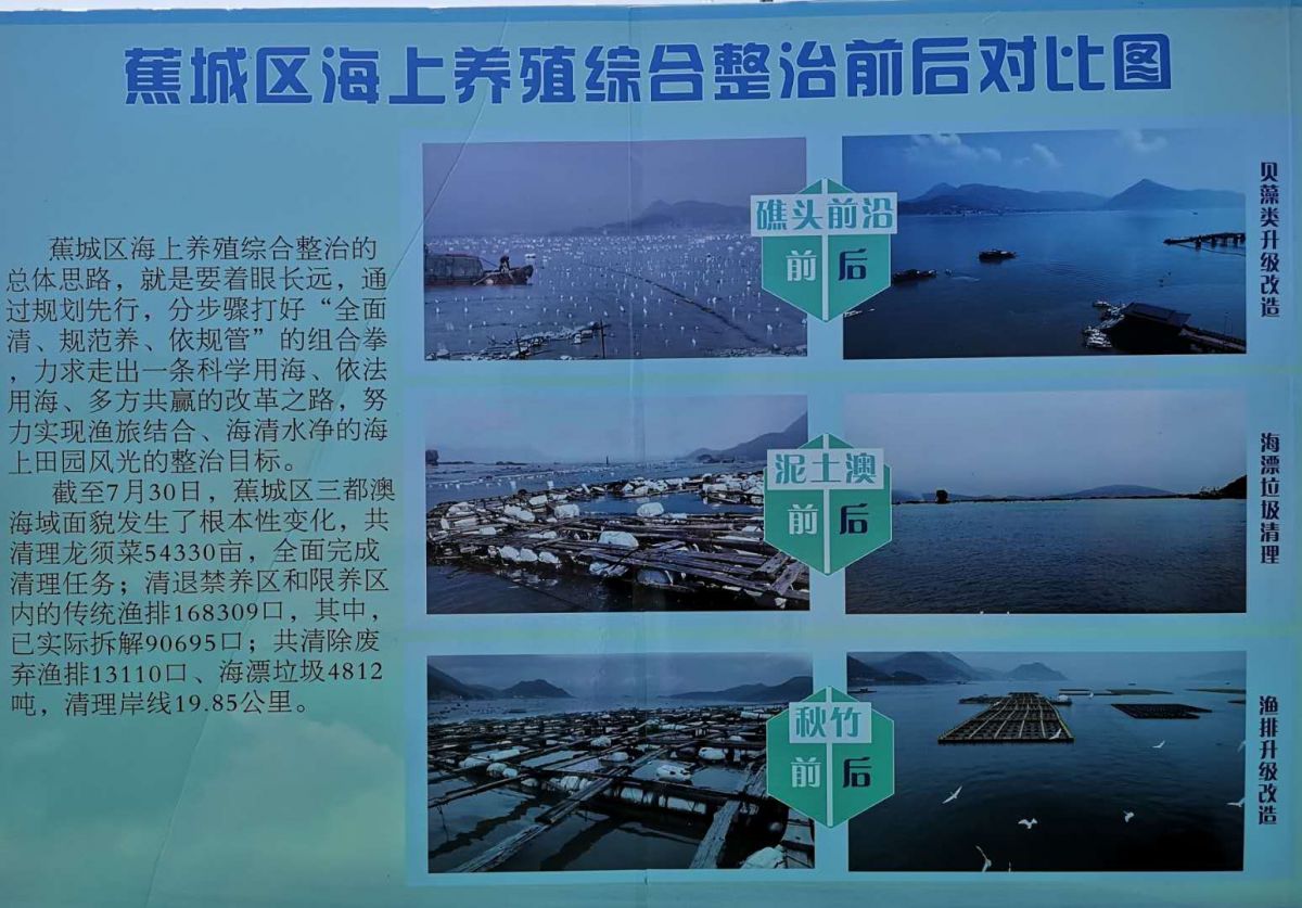 新闻致富养殖鱼电话_致富鱼养殖新闻_中央电台致富经关于养鱼的