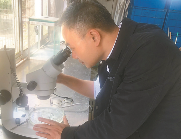 淡水大闸蟹养殖技术_淡水大闸螃蟹养殖技术_淡水养殖大闸蟹技术要点