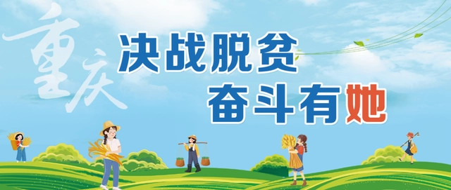 平菇种植技术和成本_致富种植技术平菇视频_致富经平菇种植技术