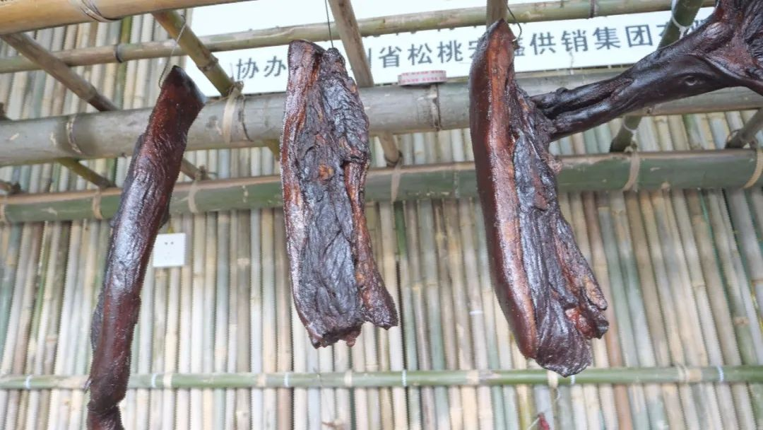 平菇种植新技术_致富经平菇种植技术_致富种植技术平菇视频