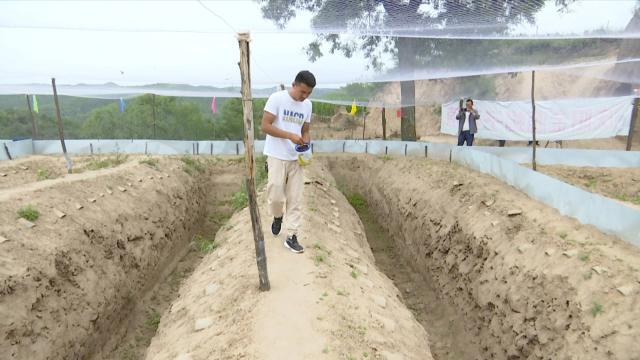 新疆养蝎子基地_新疆 蝎子养殖致富_致富蝎子养殖新疆视频