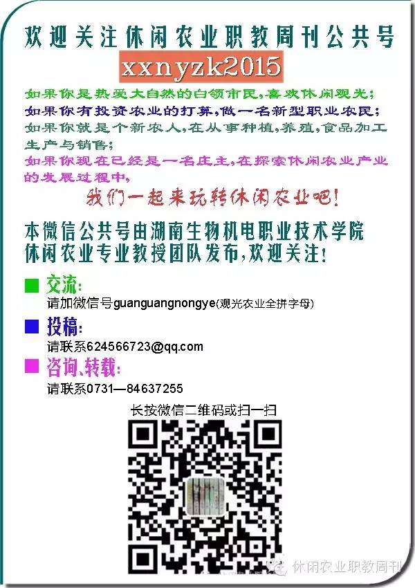 长果桑种植技术_桑果栽培技术_种植桑果的技术和方法