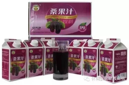 种植桑果的技术和方法_长果桑种植技术_桑果栽培技术