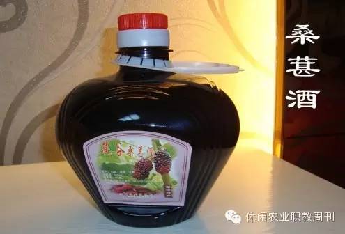 种植桑果的技术和方法_长果桑种植技术_桑果栽培技术
