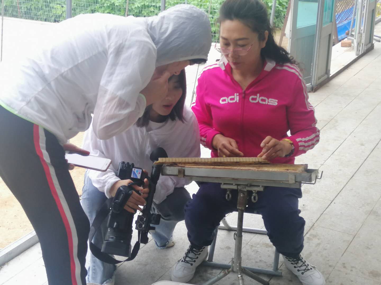 养殖蜜蜂致富新闻_蜜蜂养殖业发展新模式_蜜蜂新闻致富养殖视频