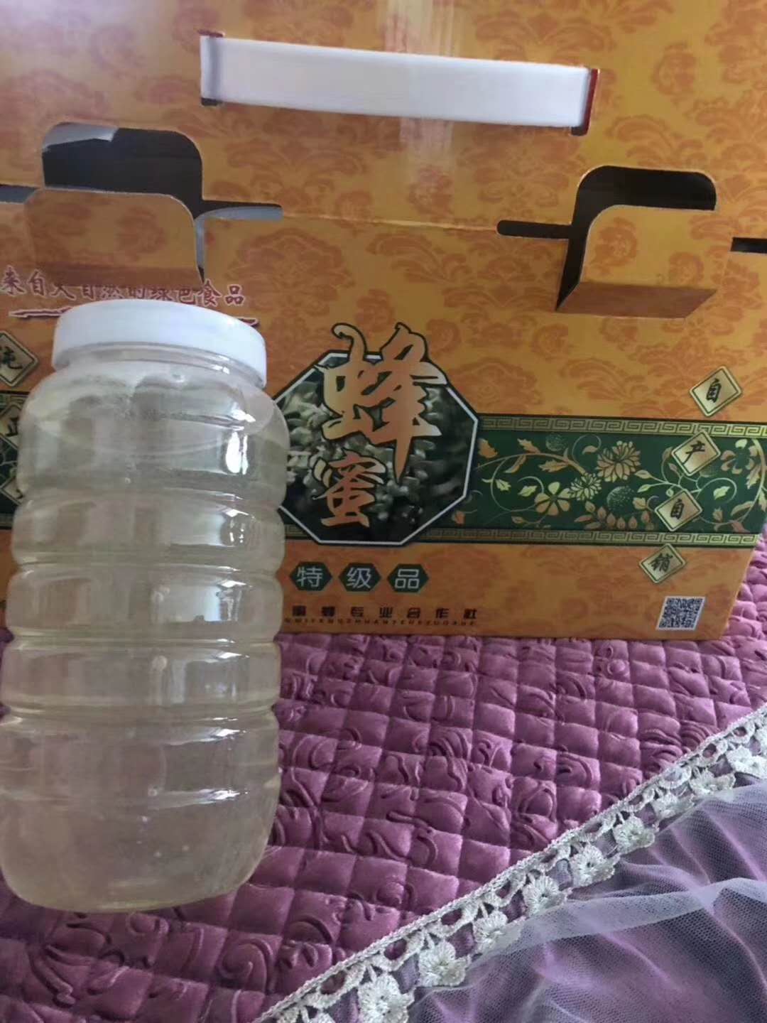 养殖蜜蜂致富新闻_蜜蜂养殖业发展新模式_蜜蜂新闻致富养殖视频
