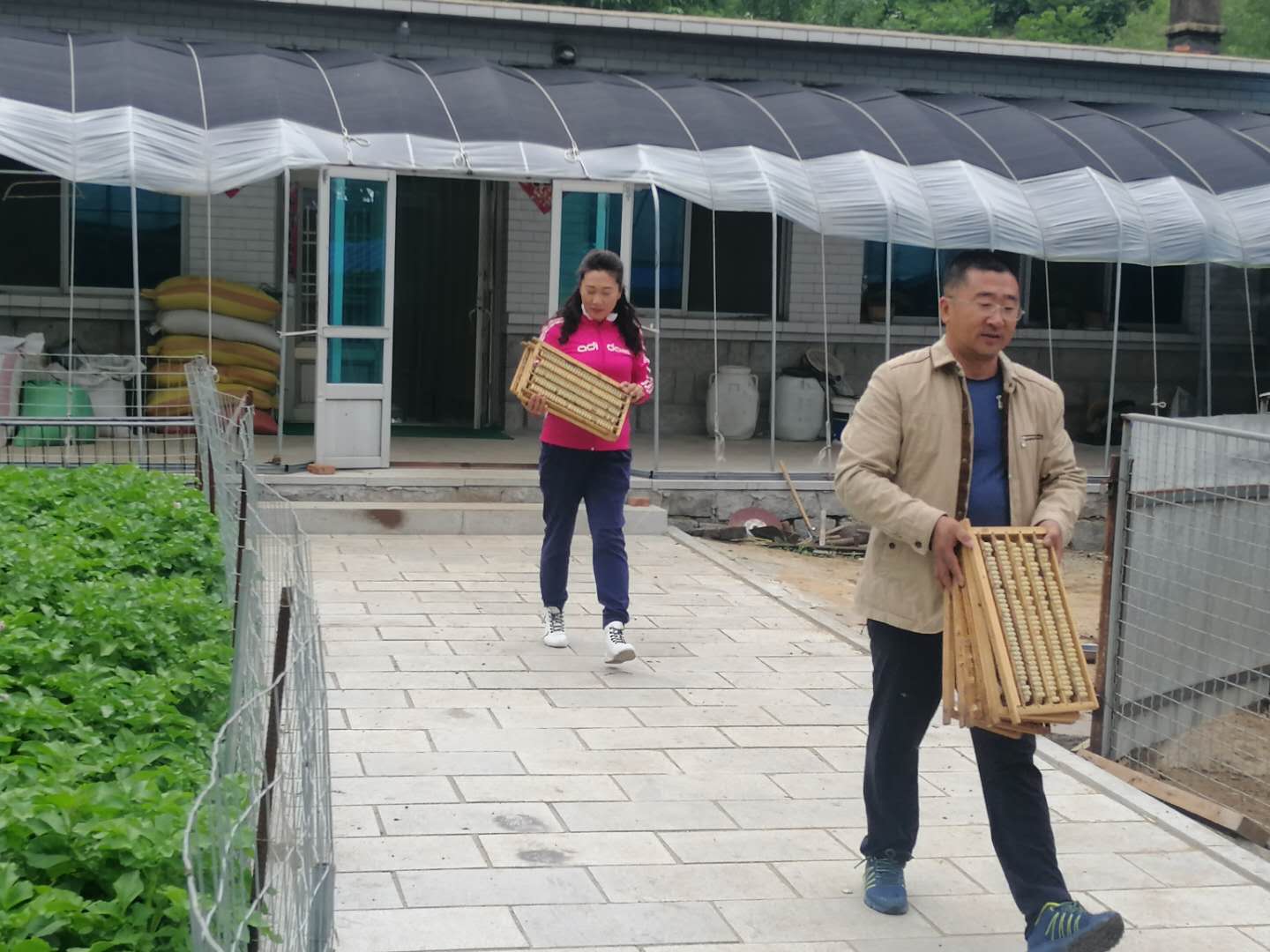 养殖蜜蜂致富新闻_蜜蜂新闻致富养殖视频_蜜蜂养殖业发展新模式