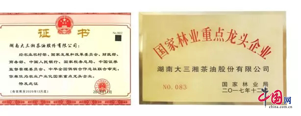 致富能种植油茶人参果吗_油茶种植 致富能人_致富能种植油茶人吗