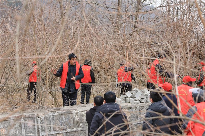 致富种植河南无花果视频_河南种植无花果什么品种好_致富经河南种植无花果