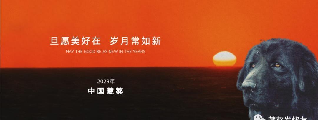掌握这三种方法，你也可以成为藏獒繁殖达人！