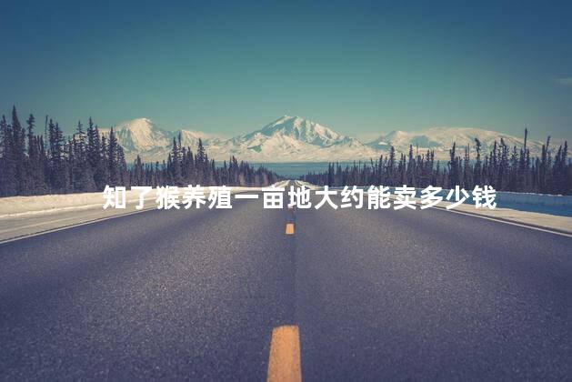 知了猴养殖一亩地大约能卖多少钱 一亩金蝉一年能收入多少钱