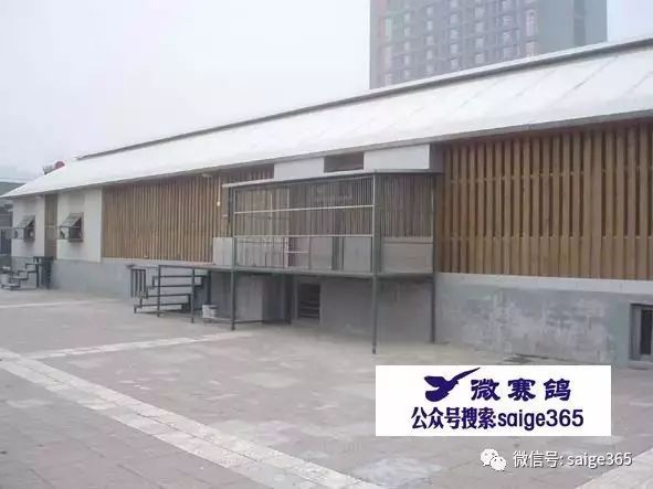 鸽子养殖技术视频大全_鸽子的养殖视频播放_双母鸽养殖技术视频