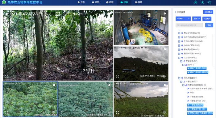成效作物优质推广经验总结_优质作物推广成效及经验_推广农作物
