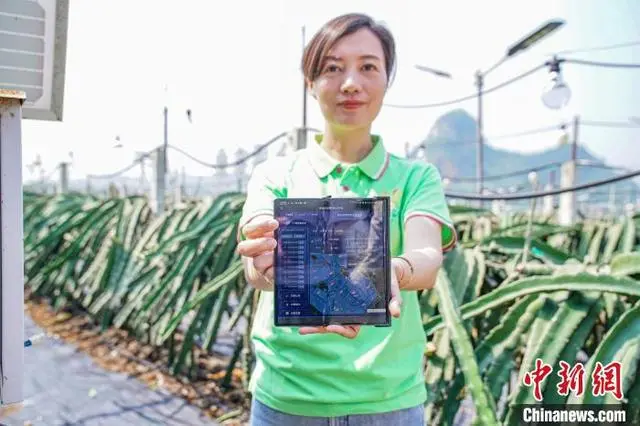 清凉致富种植果园地址_清凉的果子叫什么_清凉种植致富果