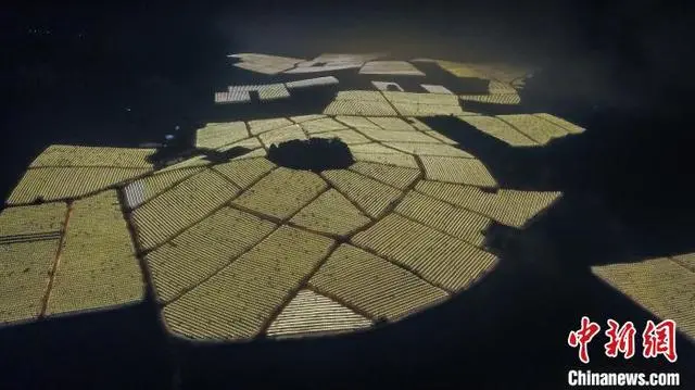 清凉的果子叫什么_清凉致富种植果园地址_清凉种植致富果
