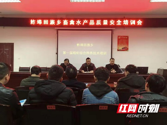 桃江鲊埠回族乡：现代农业引领回汉同胞走上致富路